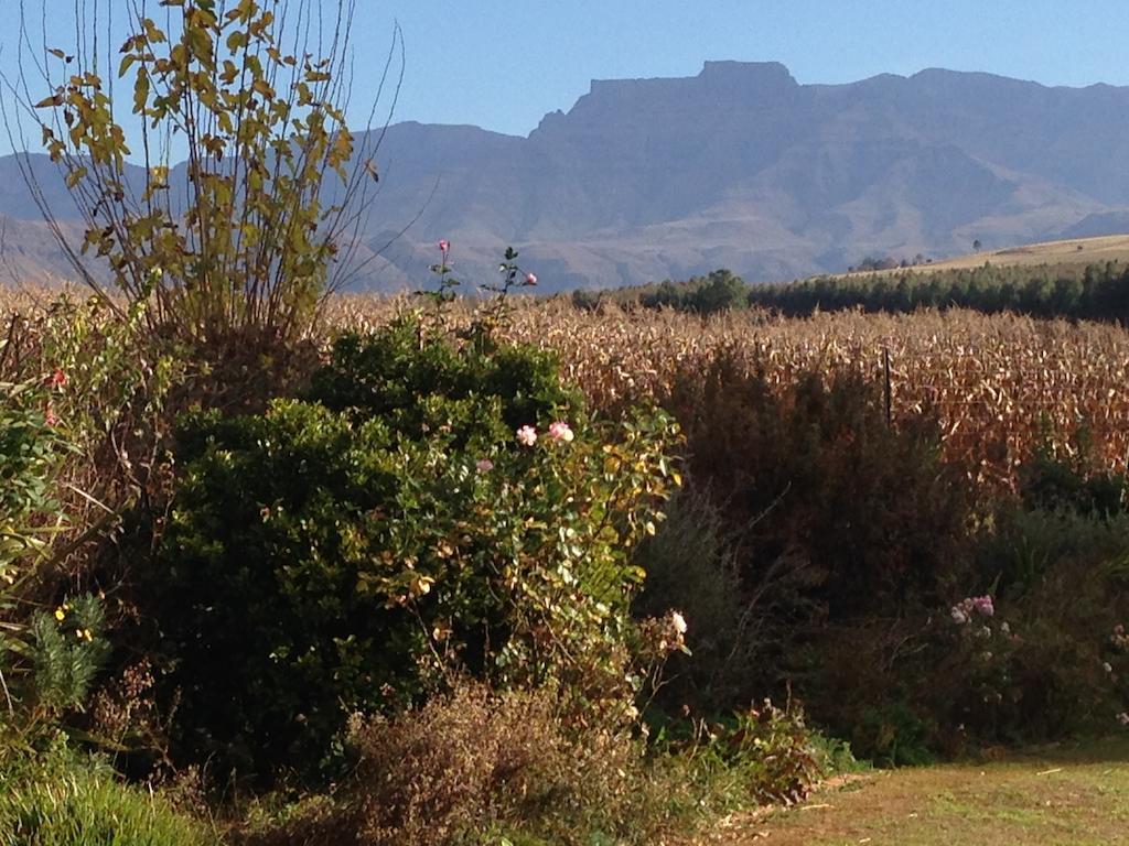 Little Acres Drakensberg Accommodation Champagne Valley Exterior photo
